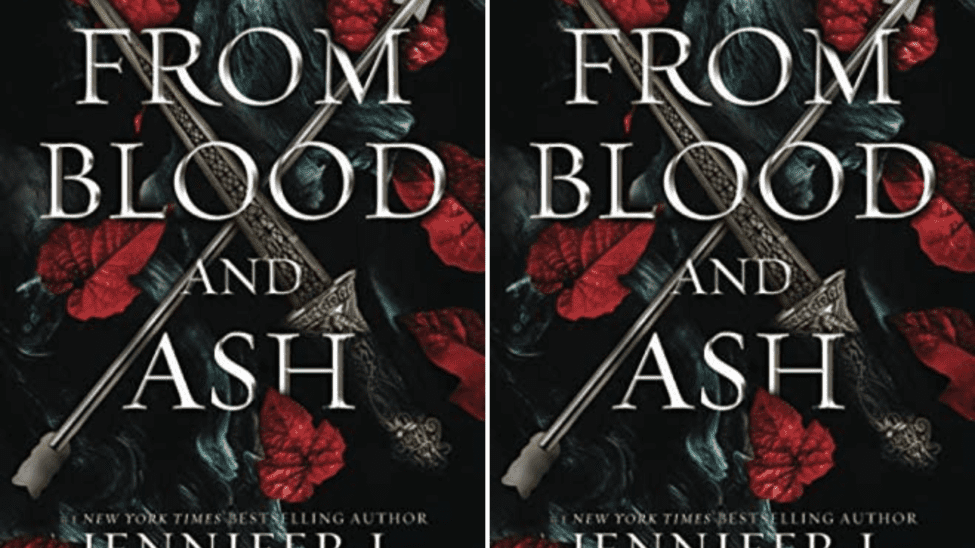 9 Riveting Books Like From Blood and Ash